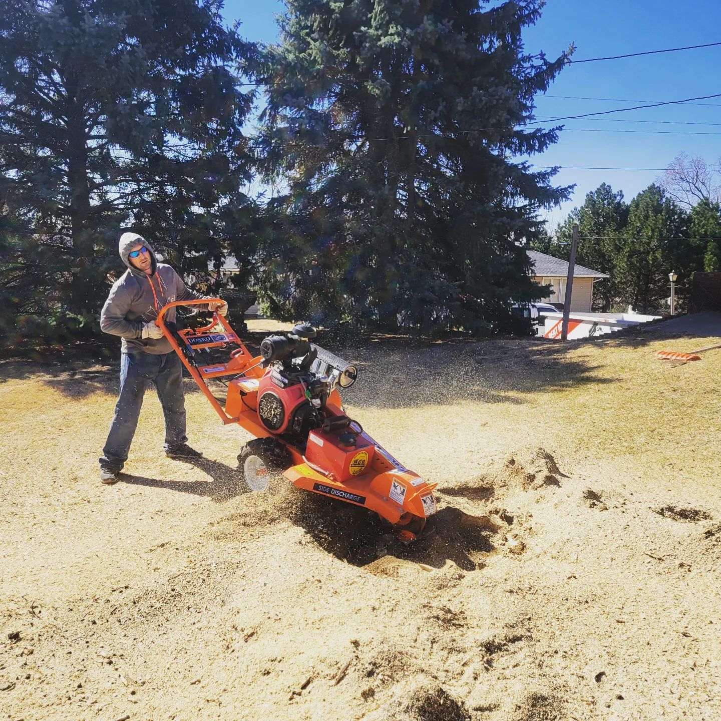 Large tree being safely removed from a residential yard in Sioux City