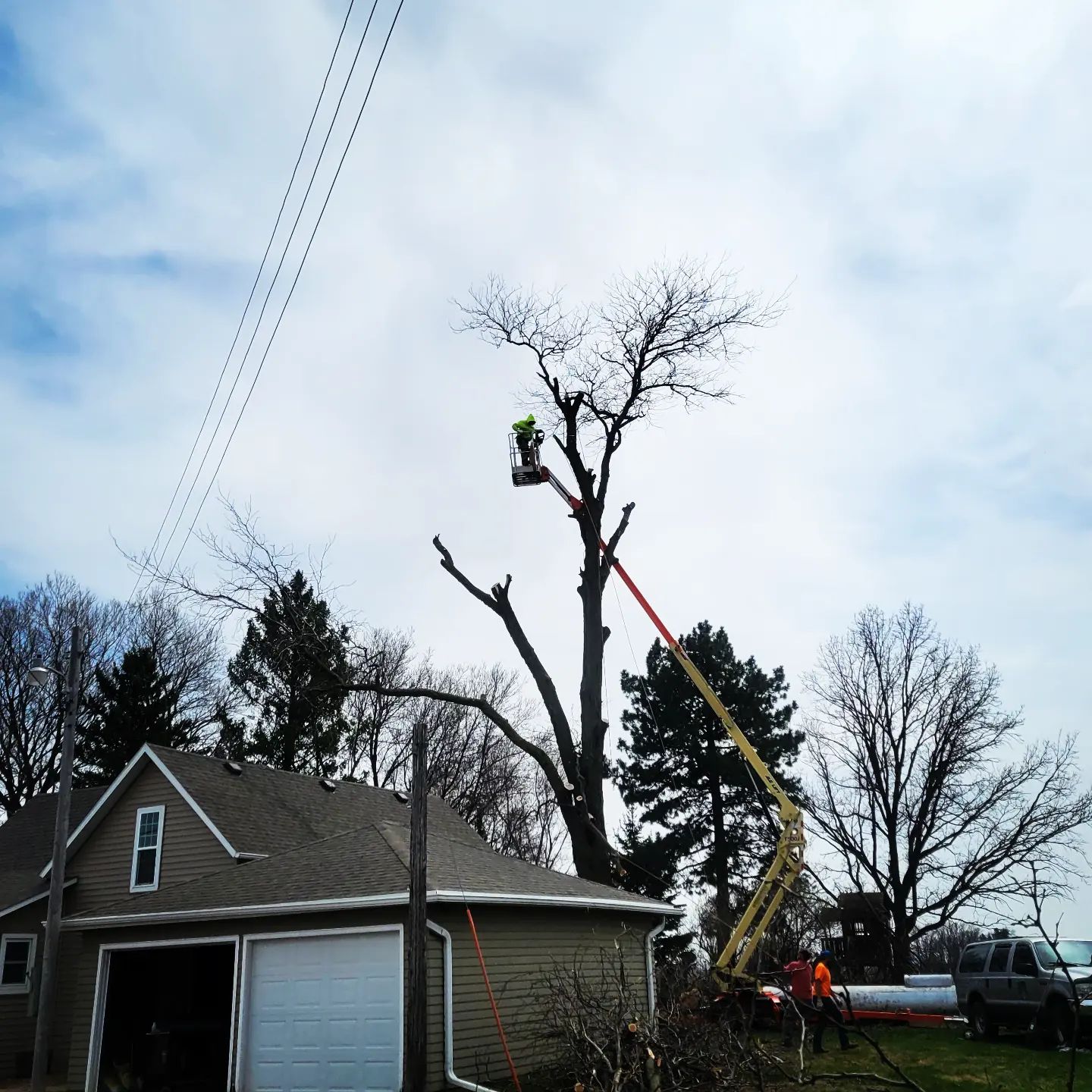 Crew cutting sectioned trunk wood after a tree removal