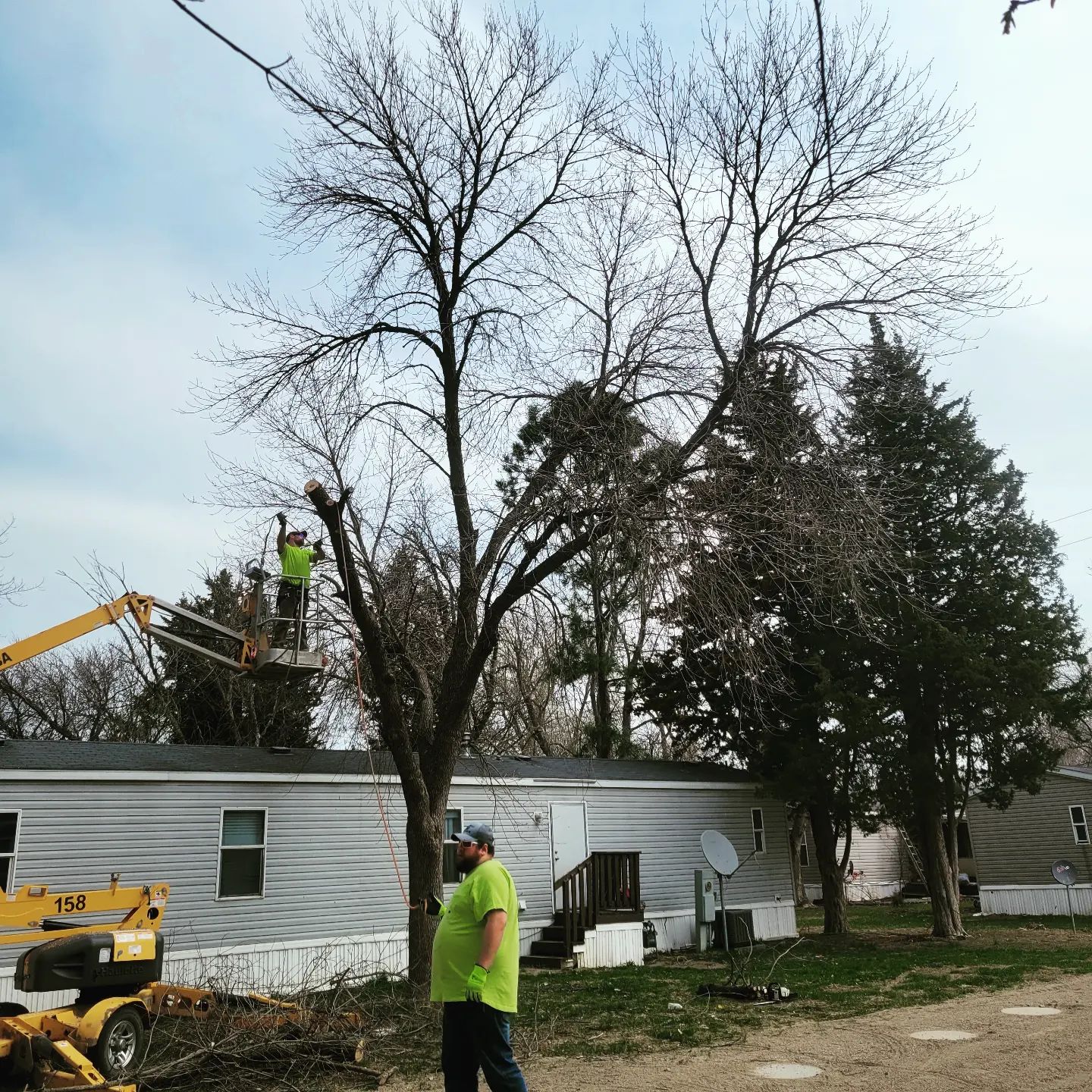 Large tree being safely removed from a residential yard in Sioux City