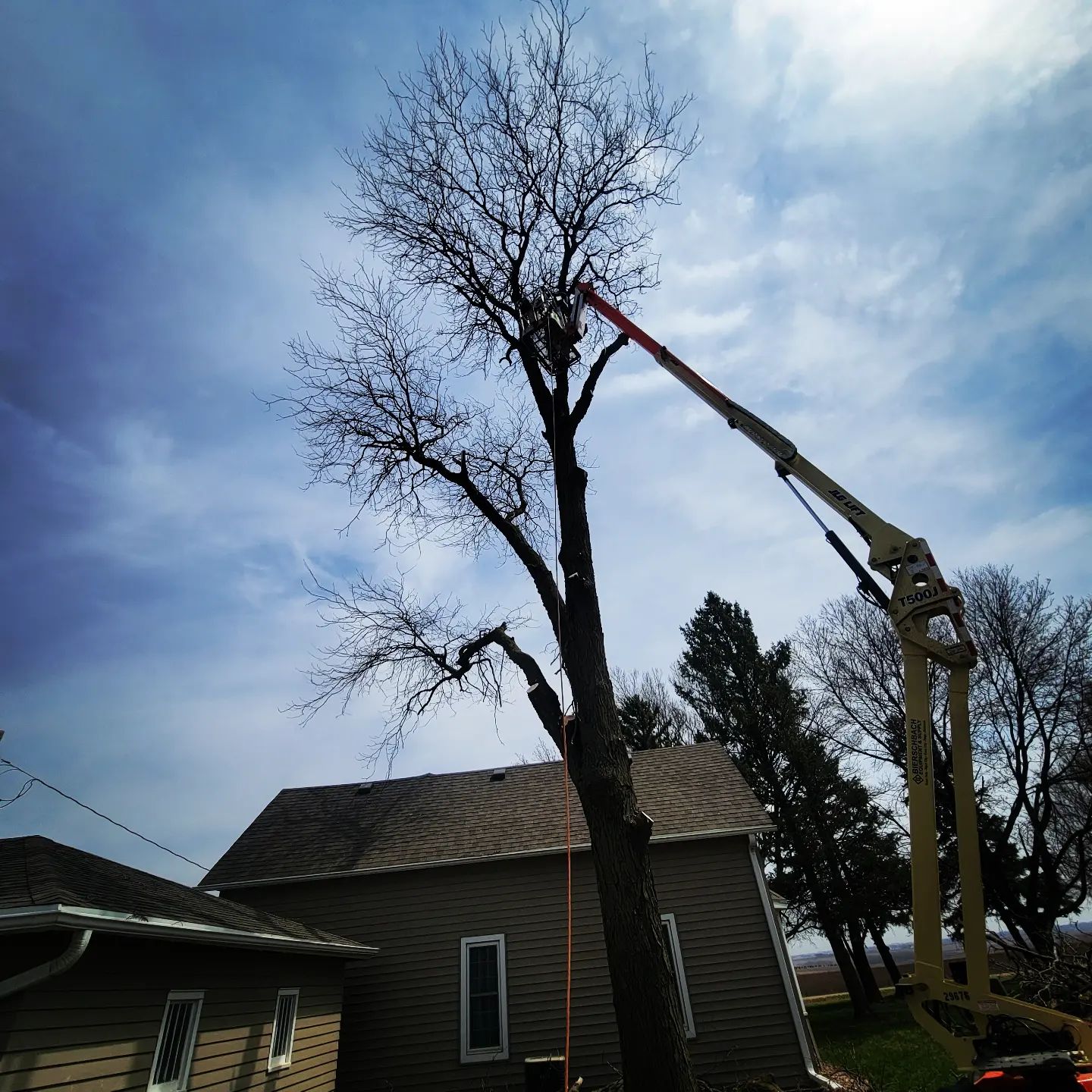 Large tree being safely removed from a residential yard in Sioux City