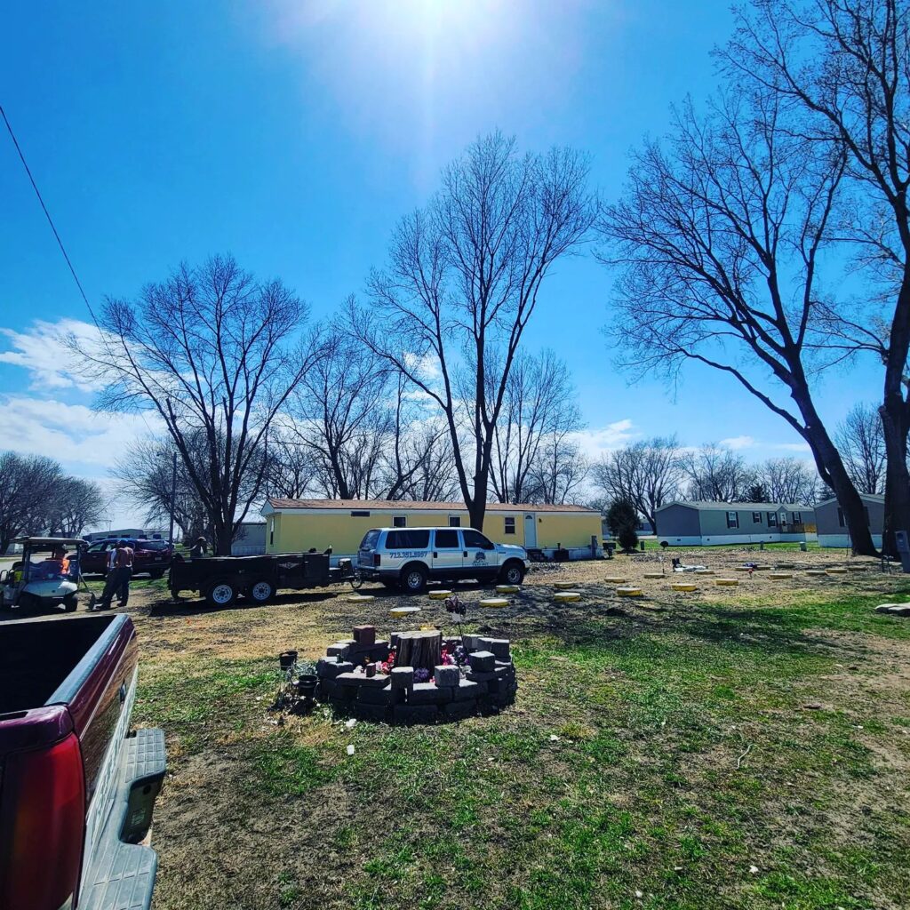 Stump Removal by My Tree Guy LLC