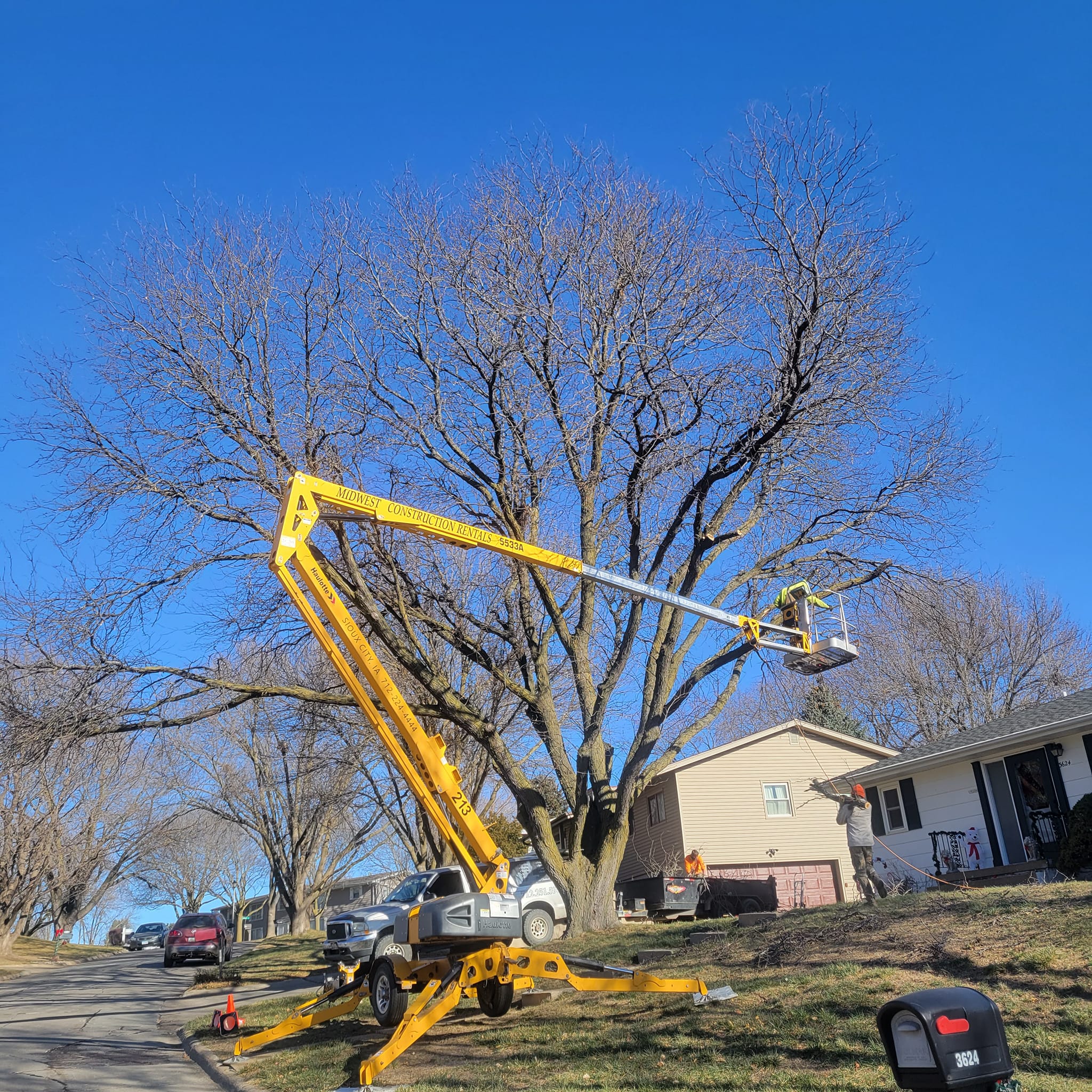 Stump removal work completed in a front lawn