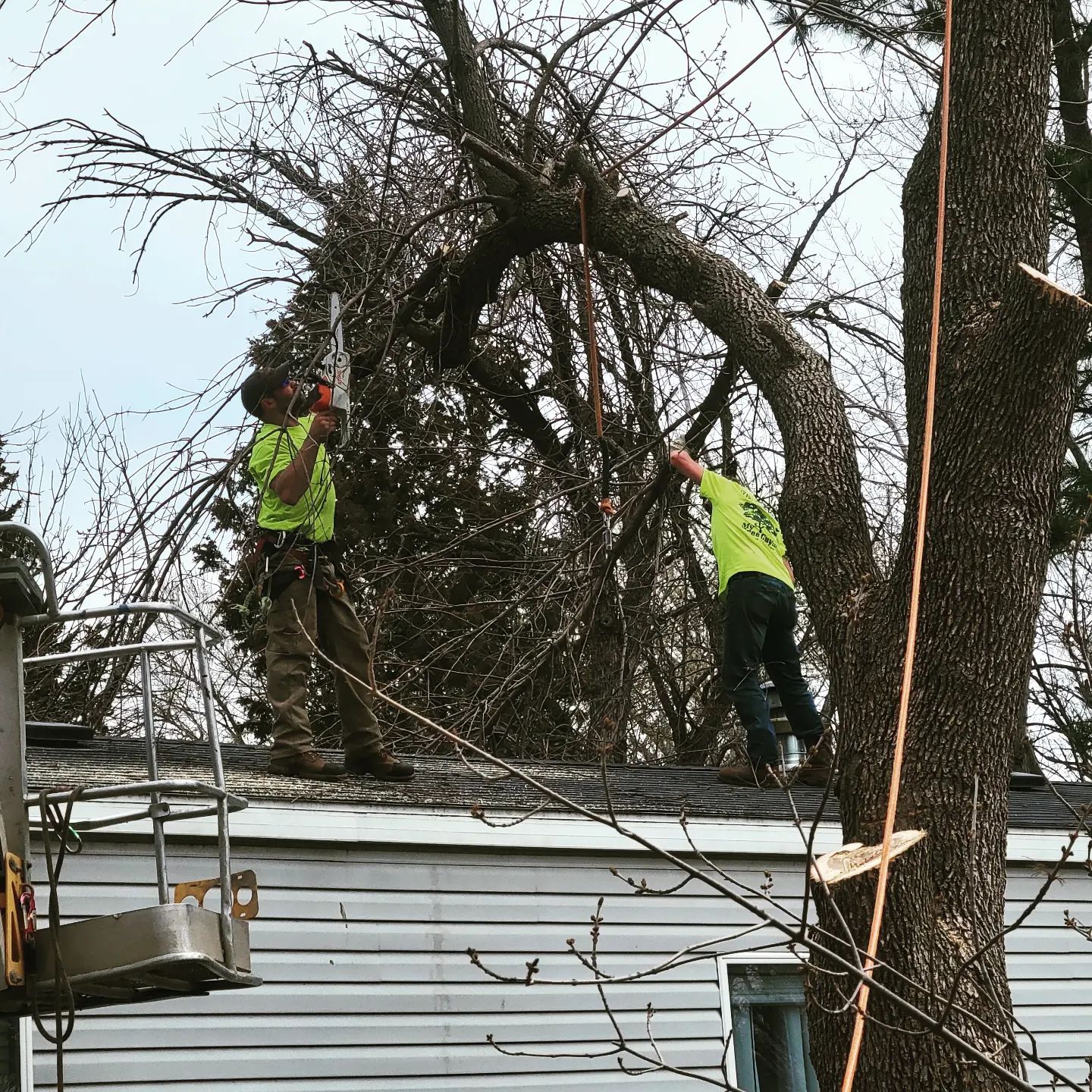Storm damaged limbs cleared from a homeowner's back yard