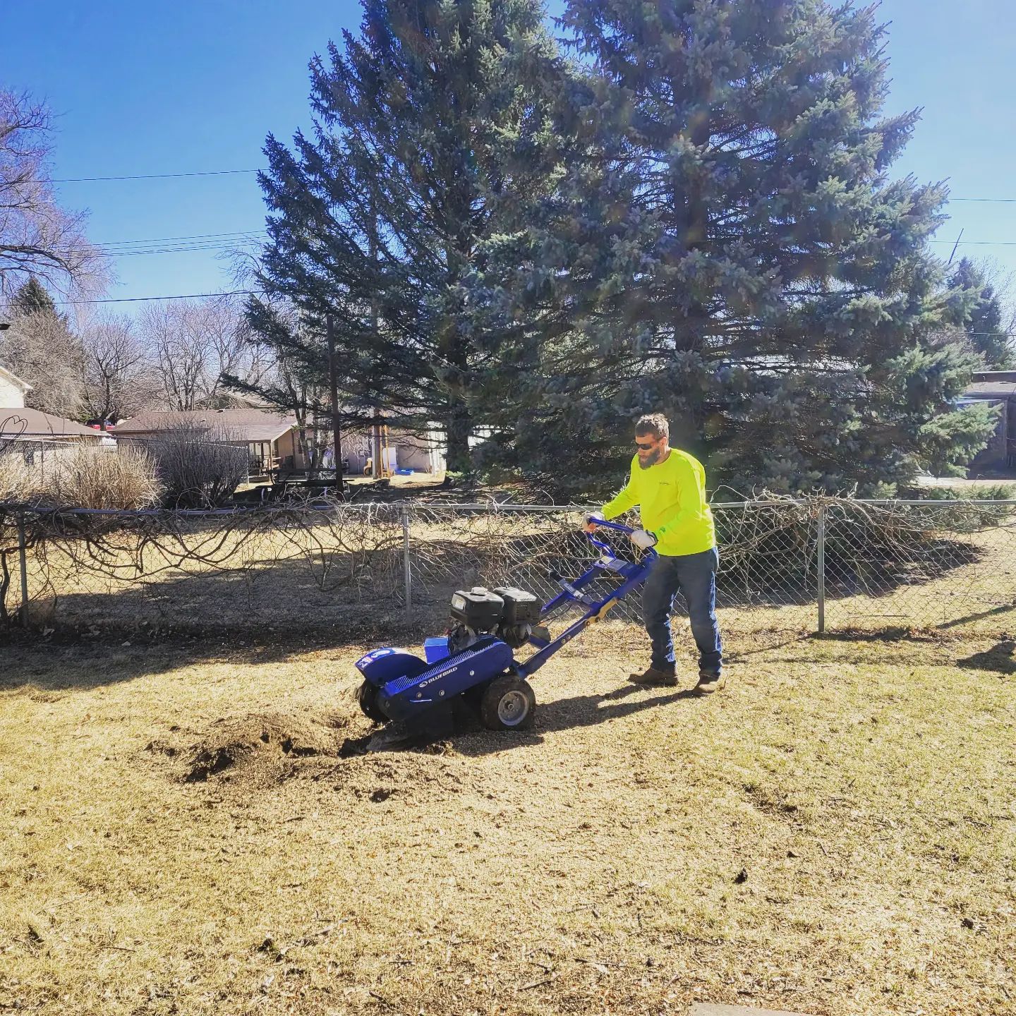 Stump removal work completed in a front lawn